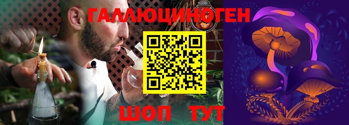 Качканар  Псилоцибиновые грибы Psilocybine cubensis  Вход с VPN  Галлюциногенные грибы Psilocybe 